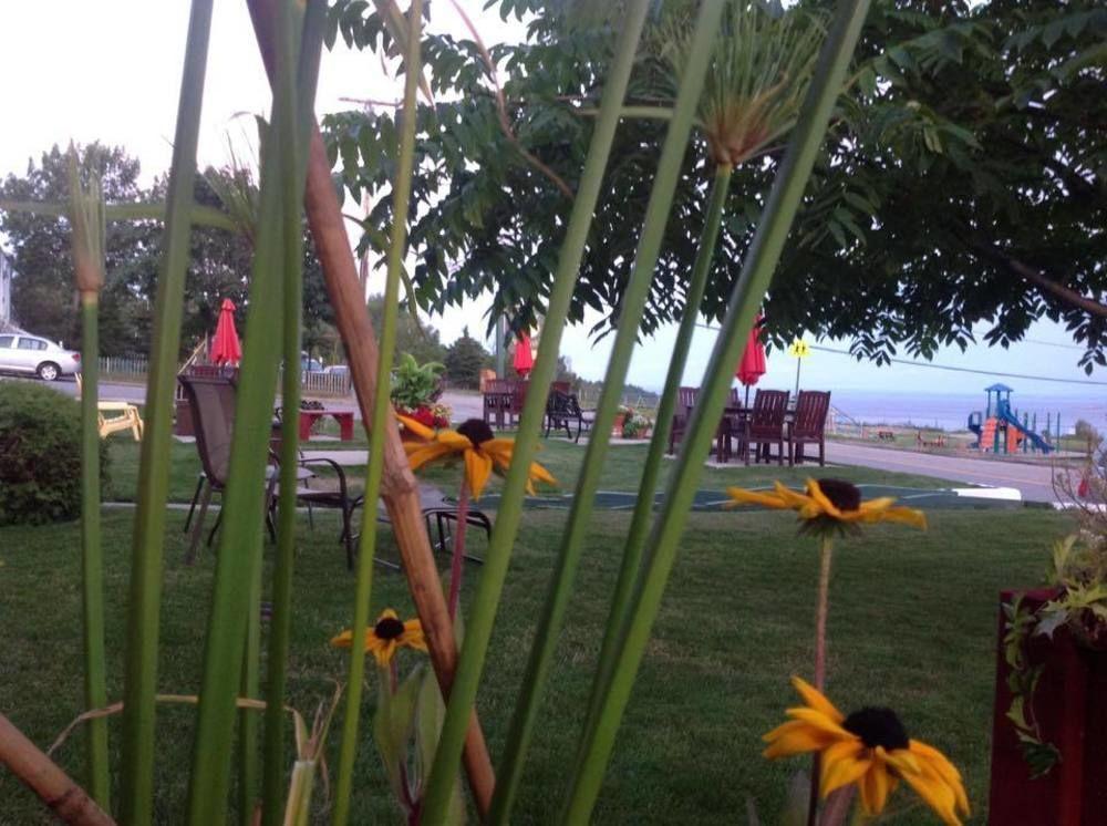Le Pionnier Hotel Tadoussac